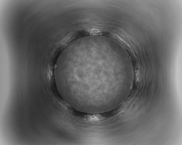 X0000096400618200801241202