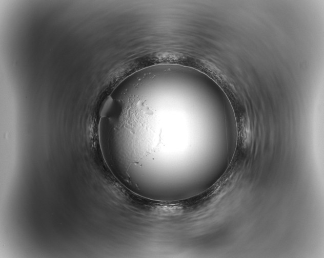 X0000096400619200801241202