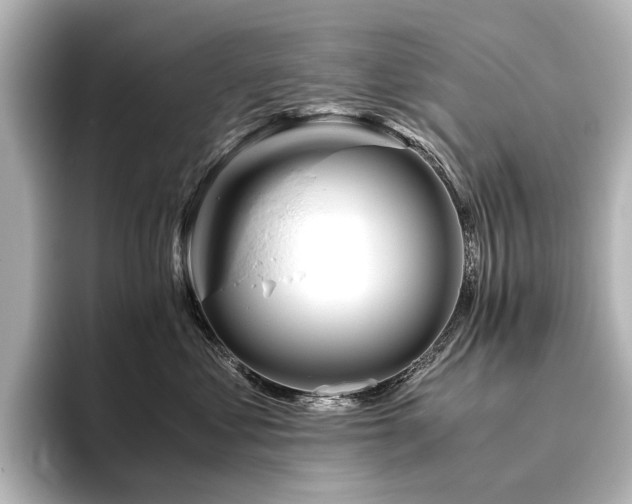 X0000096400621200801241202