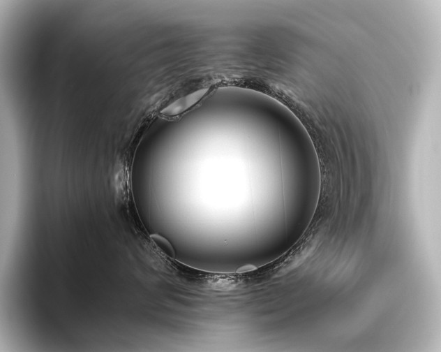 X0000096400624200801241202