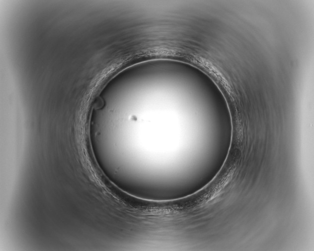 X0000096400625200801241201