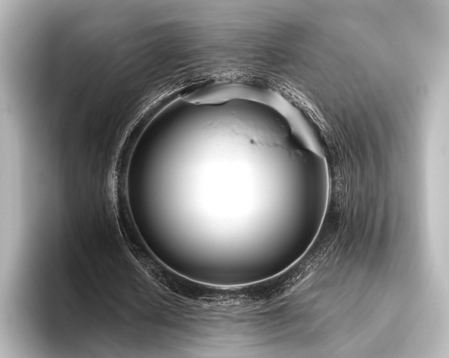 X0000096400626200801241201