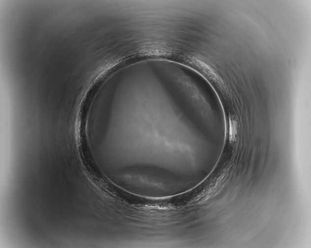 X0000096400627200801241201