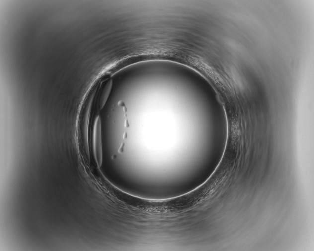 X0000096400628200801241201