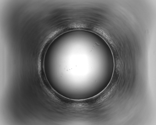 X0000096400629200801241201