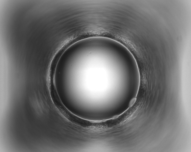 X0000096400630200801241201