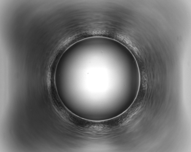 X0000096400631200801241201