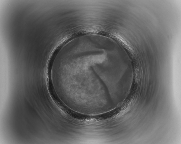 X0000096400634200801241201