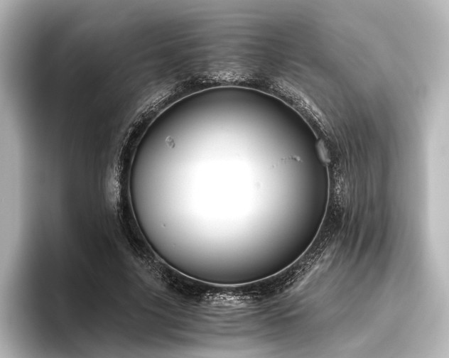 X0000096400635200801241201