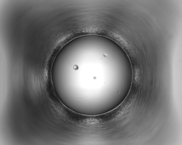 X0000096400636200801241201