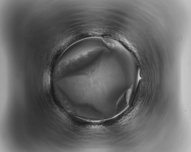 X0000096400637200801241201