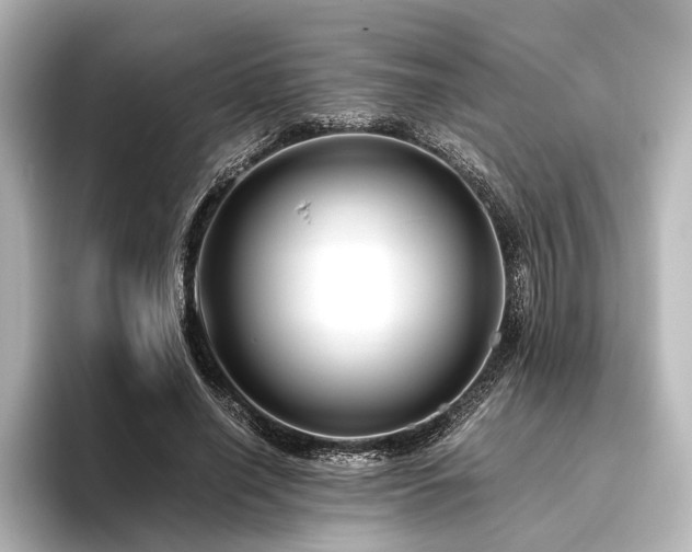 X0000096400638200801241201