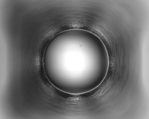 X0000096400639200801241201