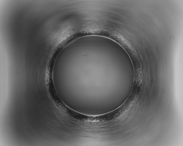 X0000096400640200801241201