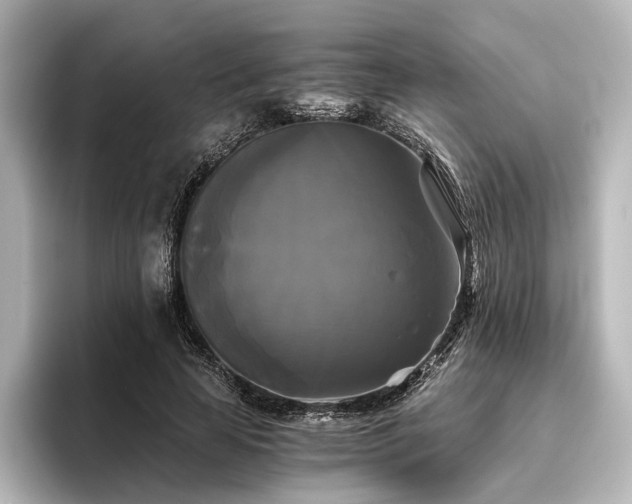 X0000096400641200801241201