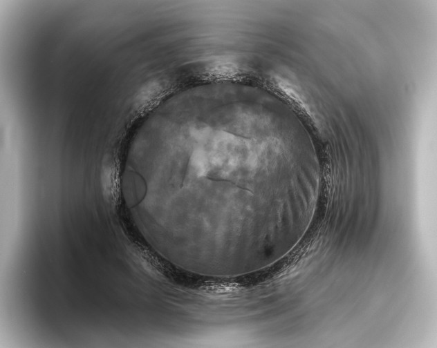 X0000096400642200801241201