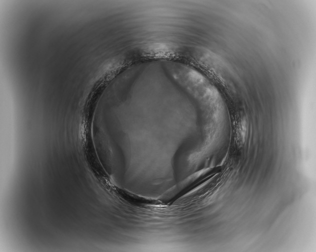 X0000096400643200801241201