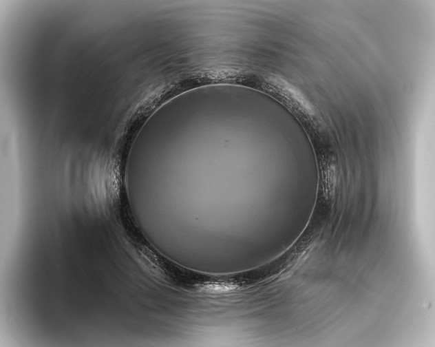 X0000096400644200801241201