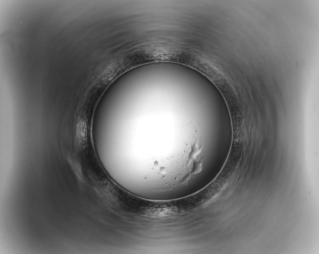 X0000096400646200801241201