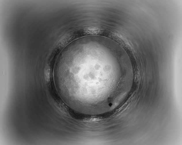 X0000096400647200801241201