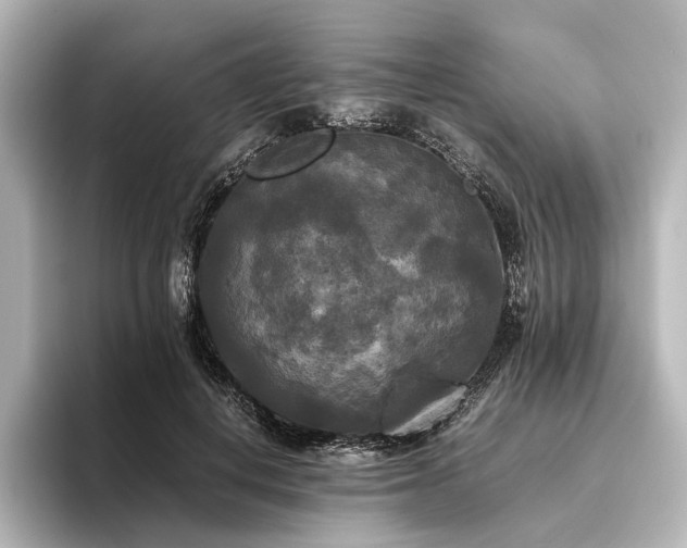 X0000096400648200801241201