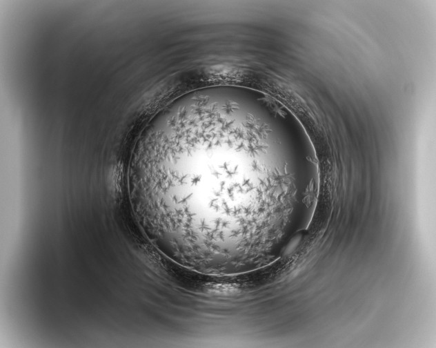 X0000096400649200801241201