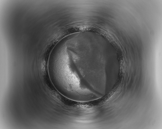 X0000096400650200801241201