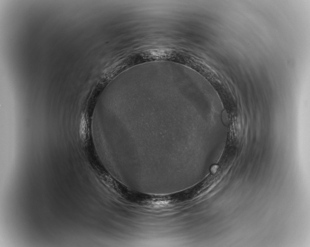 X0000096400651200801241201