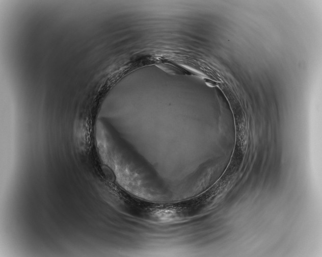 X0000096400653200801241202