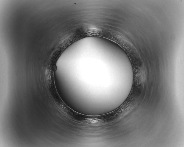 X0000096400654200801241202