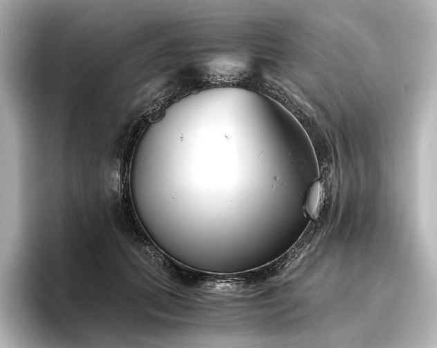 X0000096400655200801241202