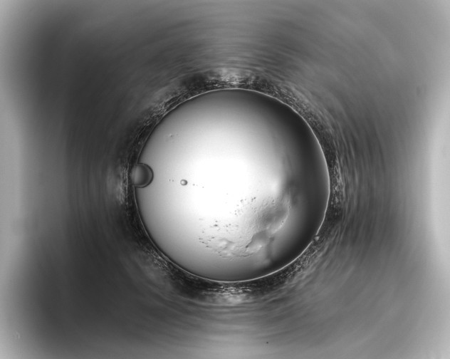 X0000096400656200801241202