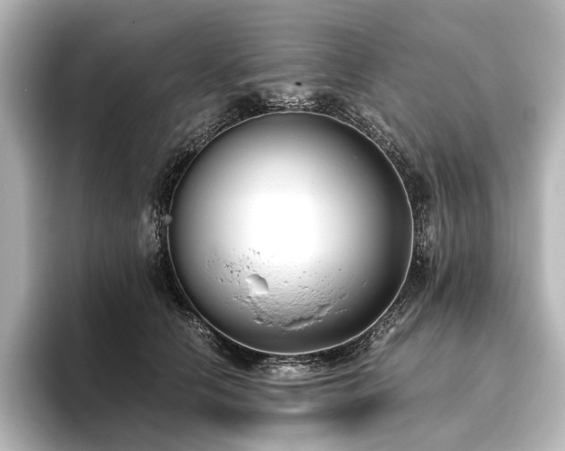 X0000096400658200801241202