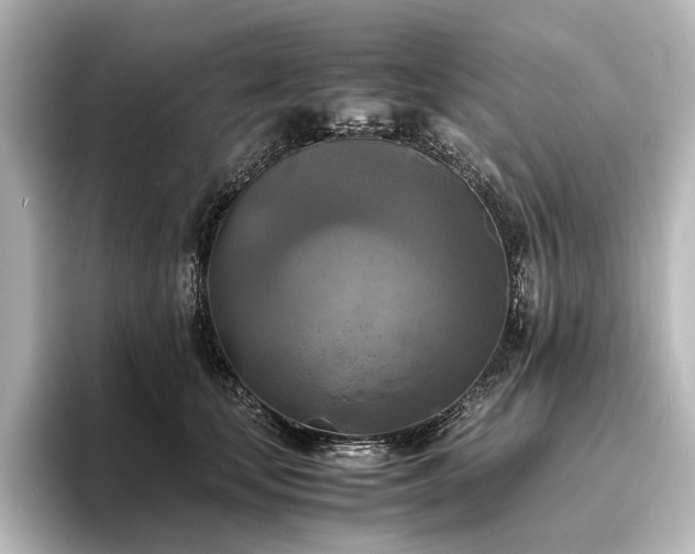 X0000096400659200801241202