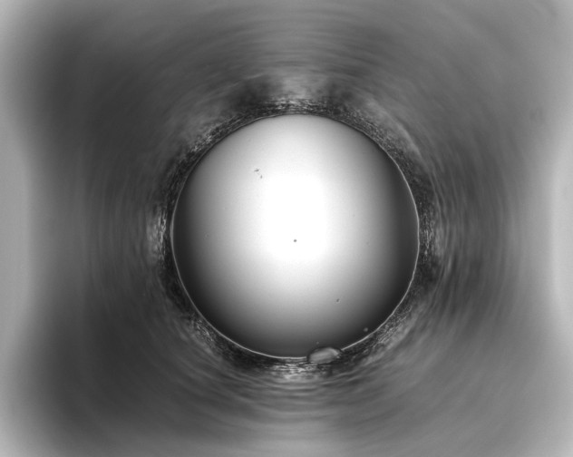 X0000096400660200801241202