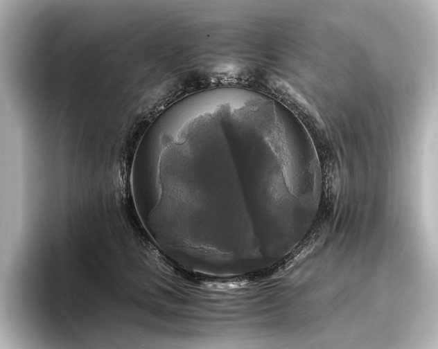 X0000096400661200801241202