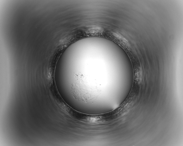 X0000096400662200801241202