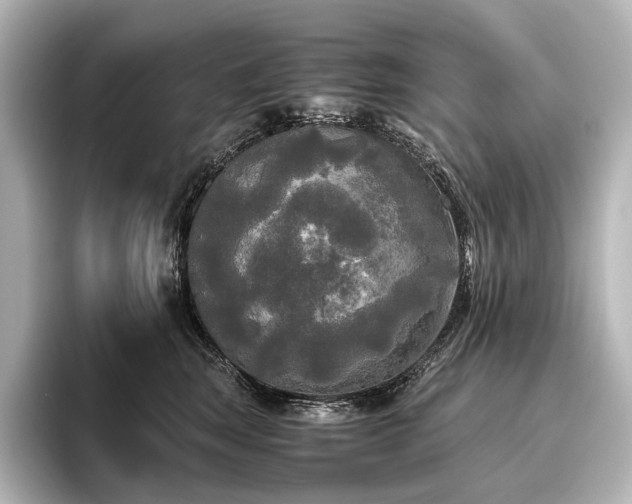 X0000096400663200801241202