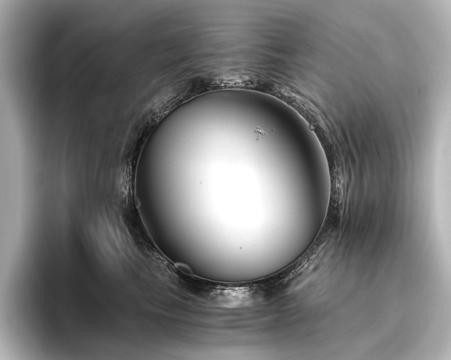 X0000096400665200801241202