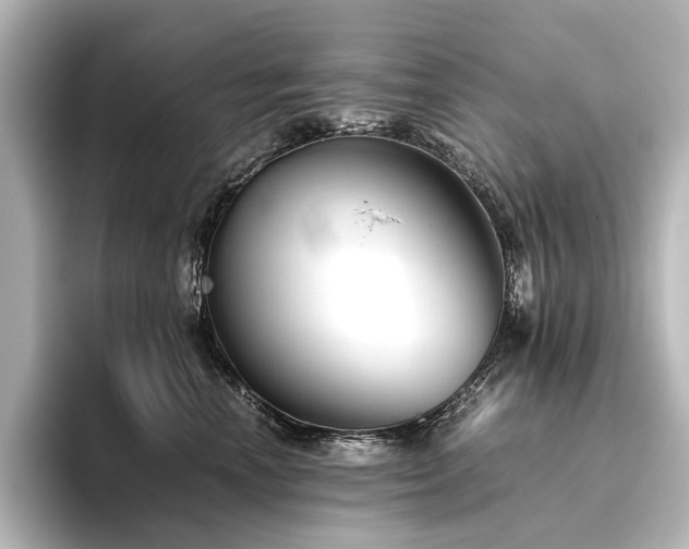 X0000096400666200801241202