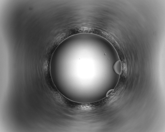 X0000096400668200801241202