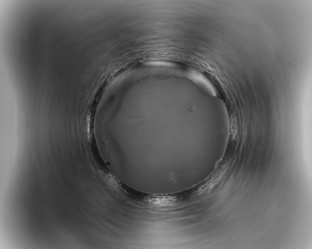 X0000096400670200801241202