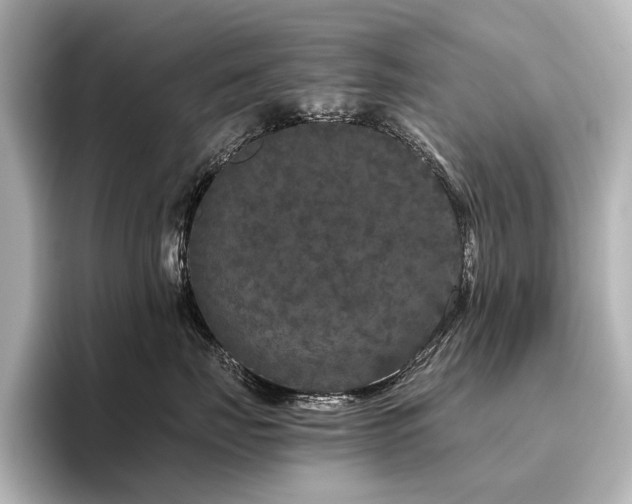 X0000096400671200801241202