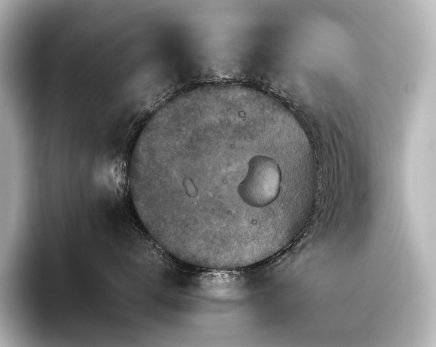 X0000096400672200801241202