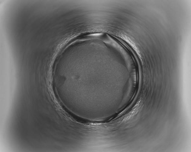 X0000096400673200801241201