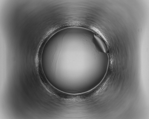 X0000096400674200801241201