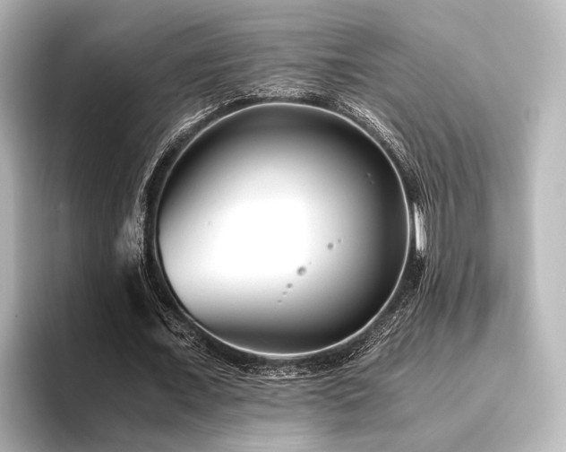 X0000096400675200801241201