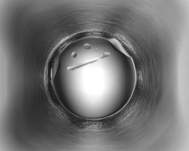 X0000096400676200801241201