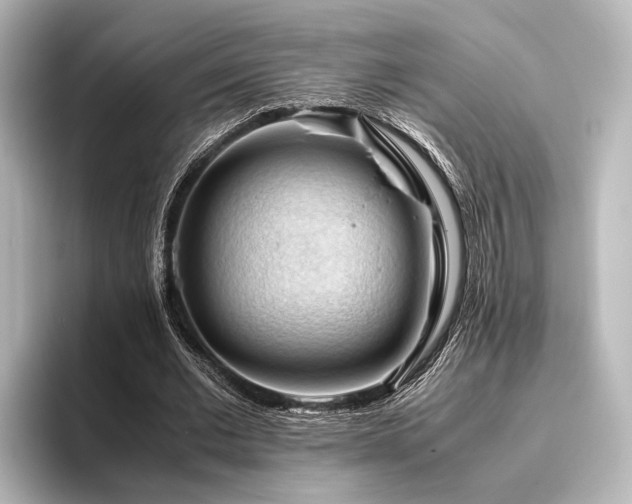 X0000096400677200801241201