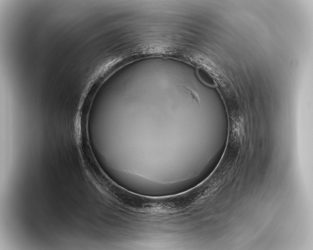 X0000096400678200801241201